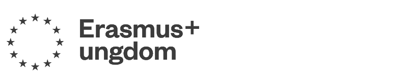 Logo-ERASMUS_NB3